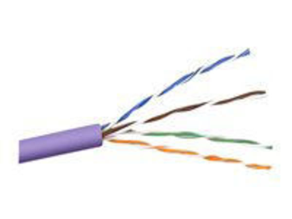 Picture of BELKIN - BULK CABLE - 1000 FT - UTP - CAT 5E - SOLID - PURPLE