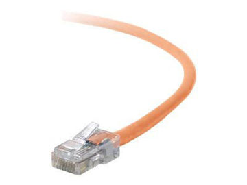 Picture of BELKIN - CROSSOVER CABLE - RJ-45 (M) TO RJ-45 (M) - 7 FT - UTP - CAT 5E - ORANGE